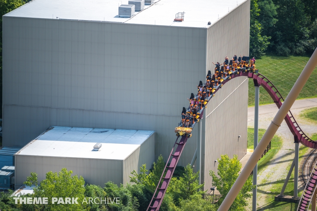 Diamondback at Kings Island