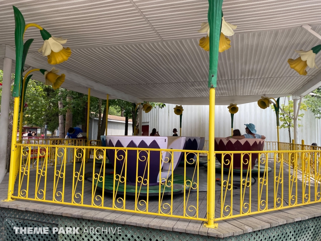 Tea Cups at Knoebels Amusement Resort