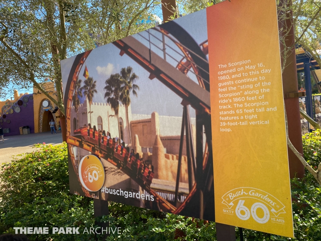 Scorpion at Busch Gardens Tampa