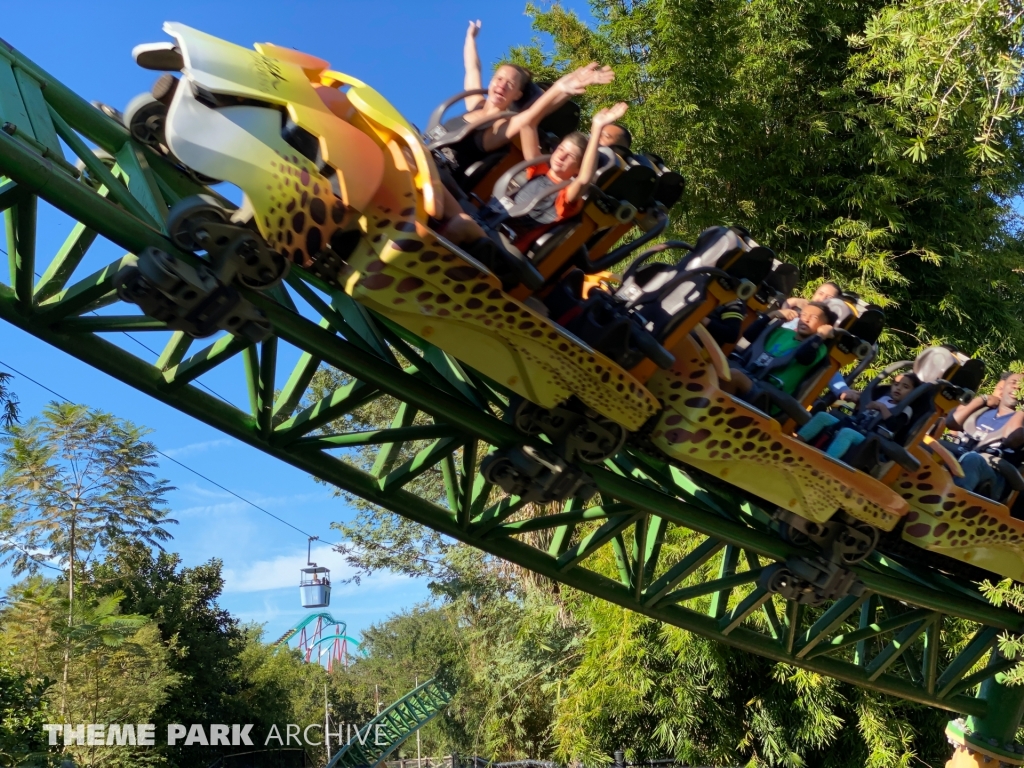 Cheetah Hunt at Busch Gardens Tampa