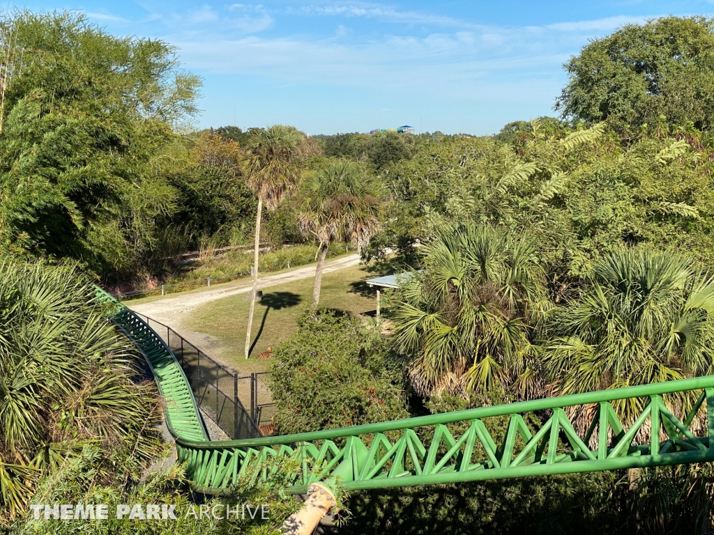 Cheetah Hunt at Busch Gardens Tampa