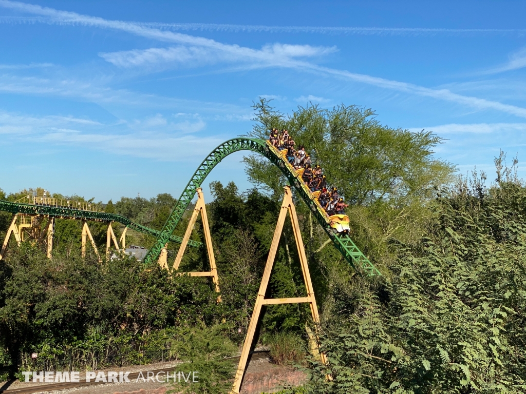 Cheetah Hunt at Busch Gardens Tampa