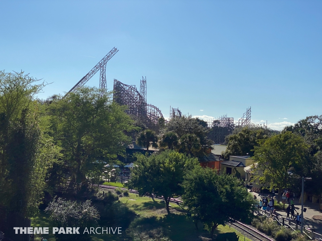 Iron Gwazi at Busch Gardens Tampa