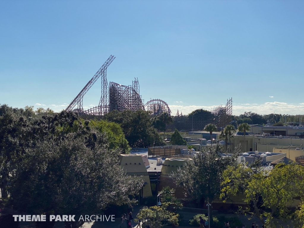 Iron Gwazi at Busch Gardens Tampa