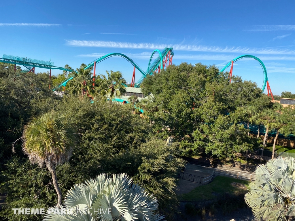 Kumba at Busch Gardens Tampa