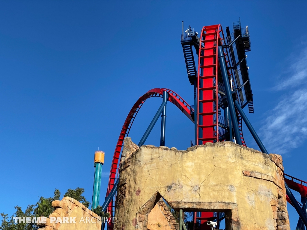 Sheikra at Busch Gardens Tampa