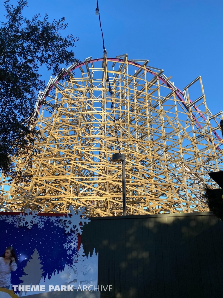 Iron Gwazi at Busch Gardens Tampa