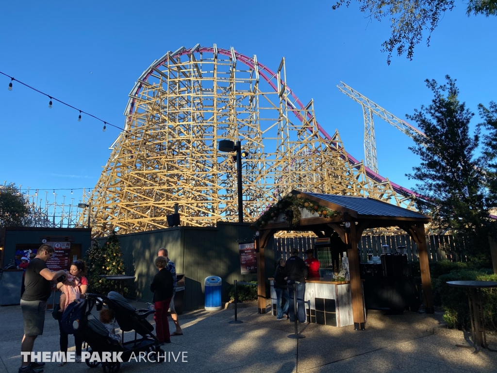 Iron Gwazi at Busch Gardens Tampa