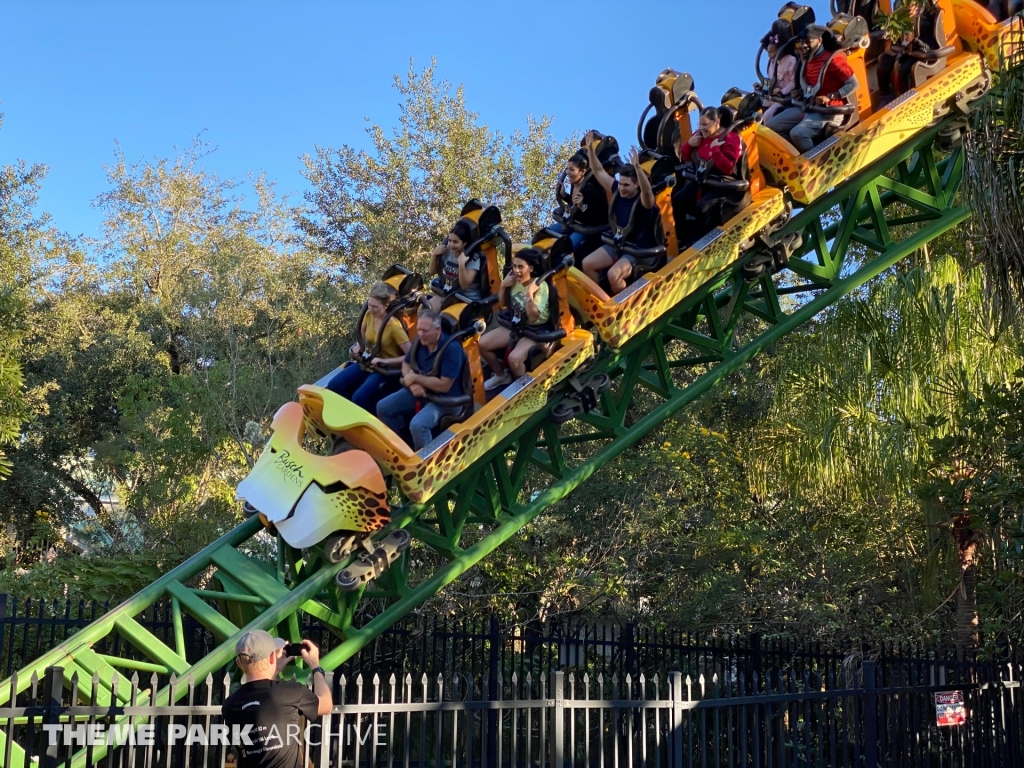 Cheetah Hunt at Busch Gardens Tampa