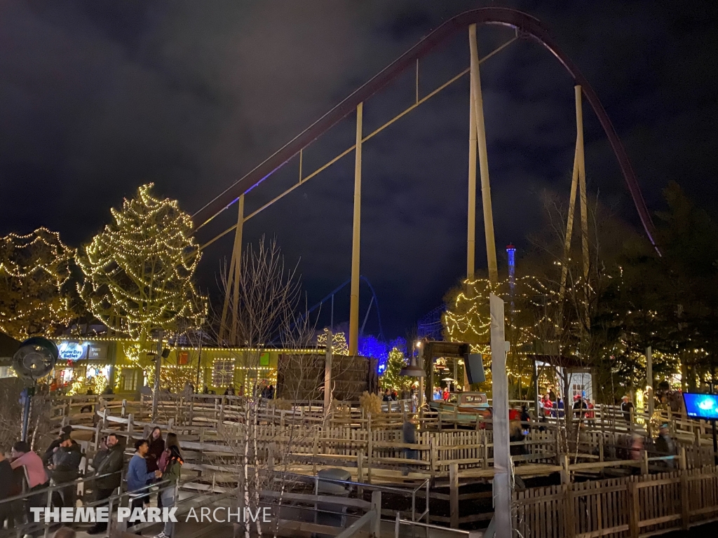 Diamondback at Kings Island