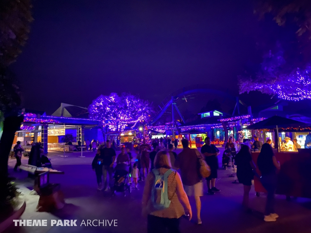 Mako at SeaWorld Orlando