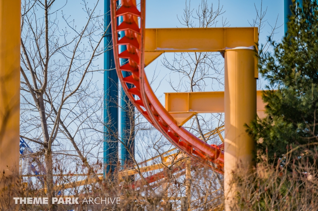 Iron Dragon at Cedar Point