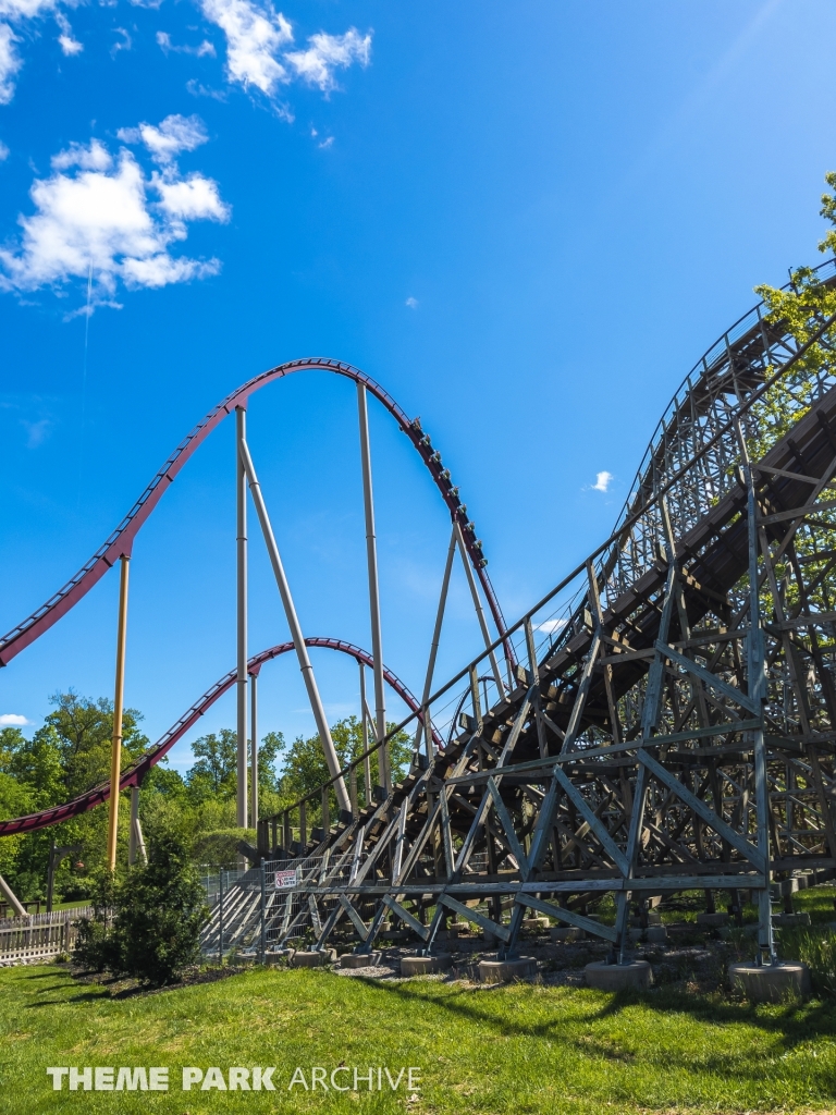 Diamondback at Kings Island