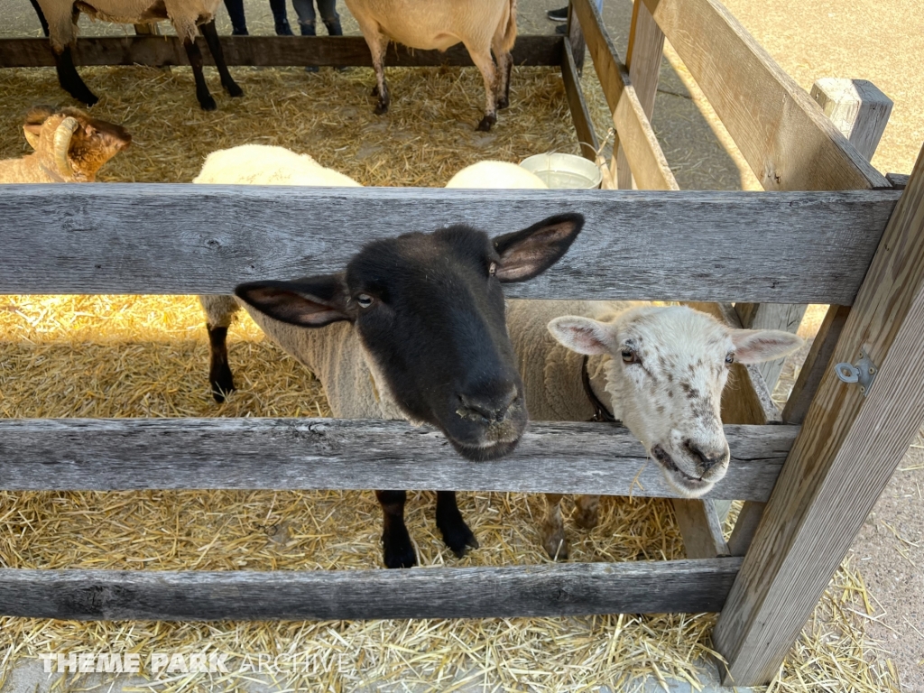 The Barnyard at Cedar Point