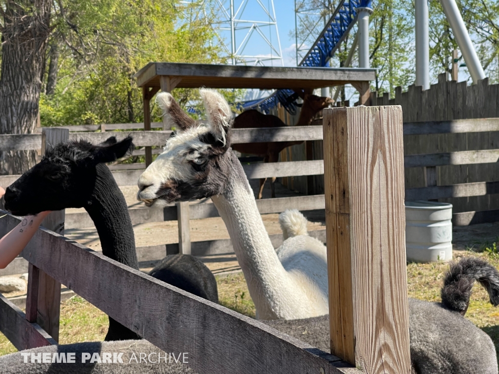 The Barnyard at Cedar Point