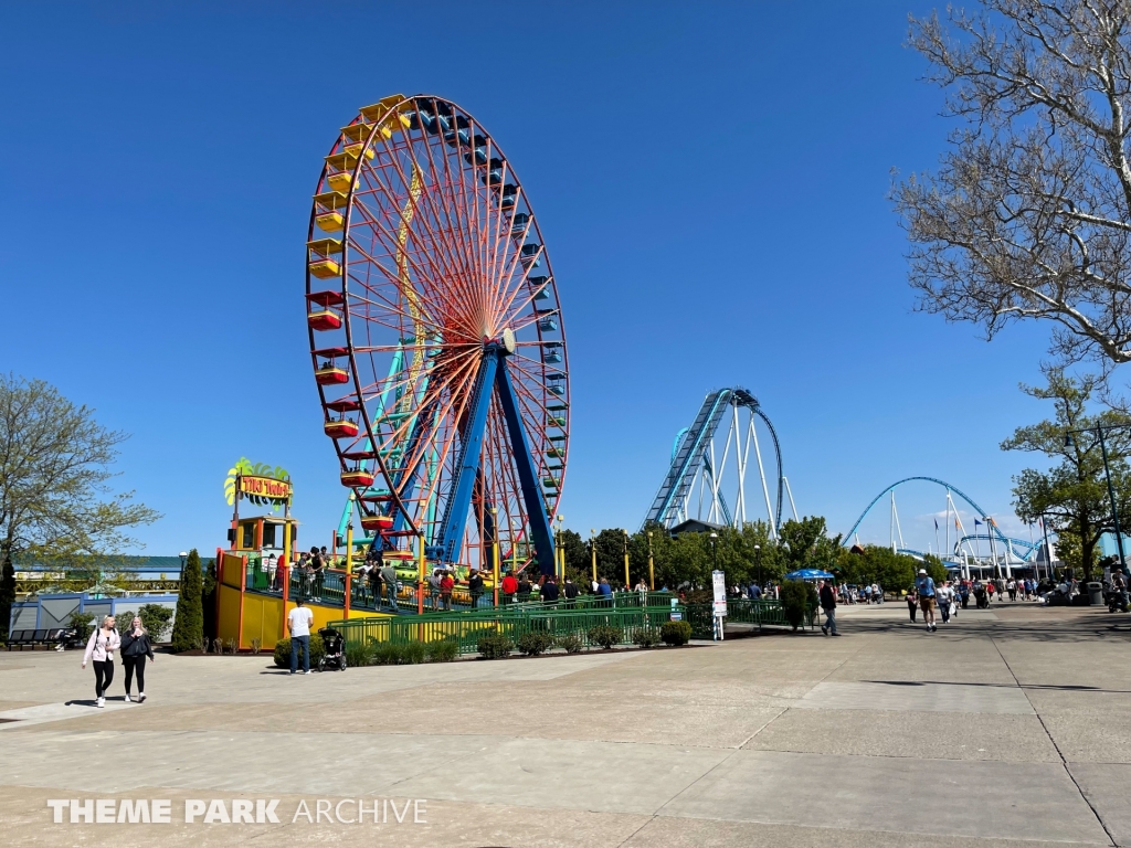 Giant Wheel at Cedar Point