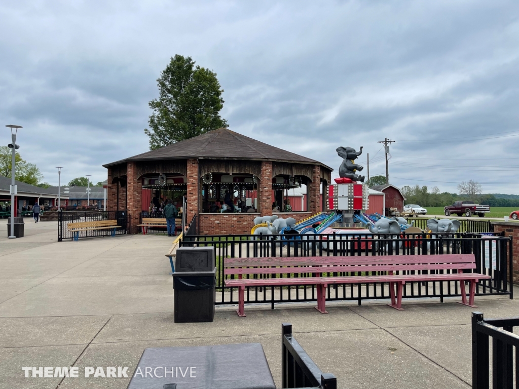 Elephants at Stricker's Grove