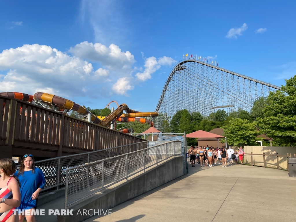 Cheetah Chase at Holiday World