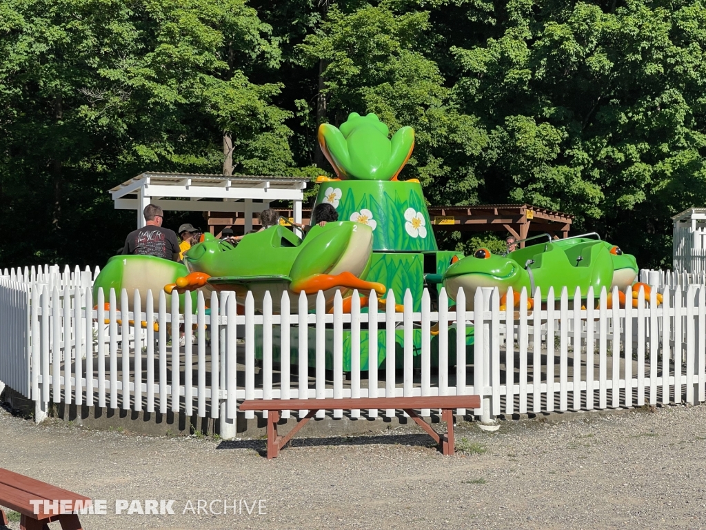 Jump Around Frog at Land of Make Believe