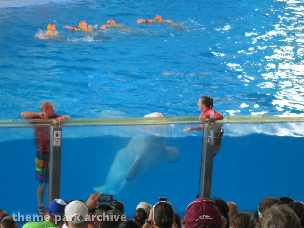 Beluga Stadium at SeaWorld San Antonio