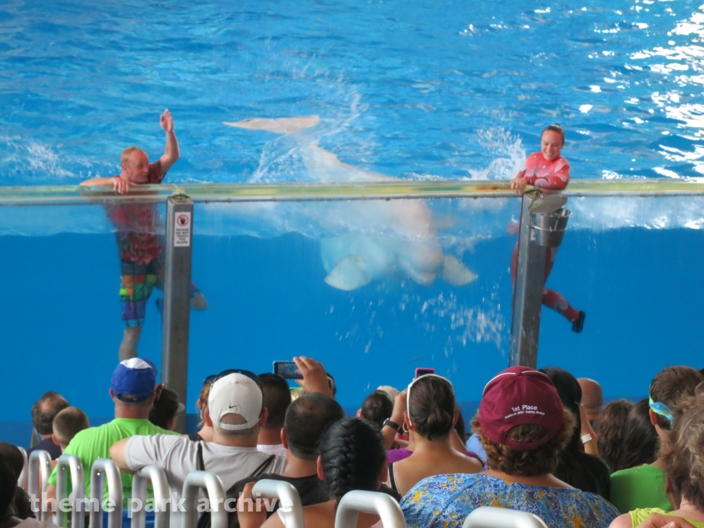 Beluga Stadium at SeaWorld San Antonio