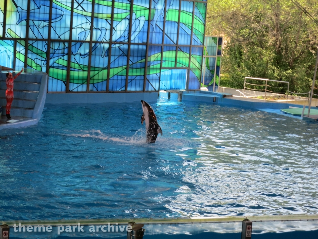 Beluga Stadium at SeaWorld San Antonio