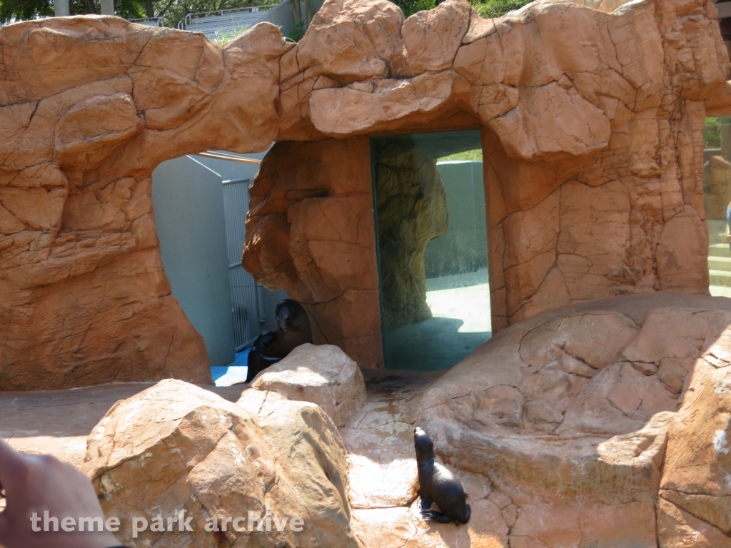 Rocky Point Preserve at SeaWorld San Antonio