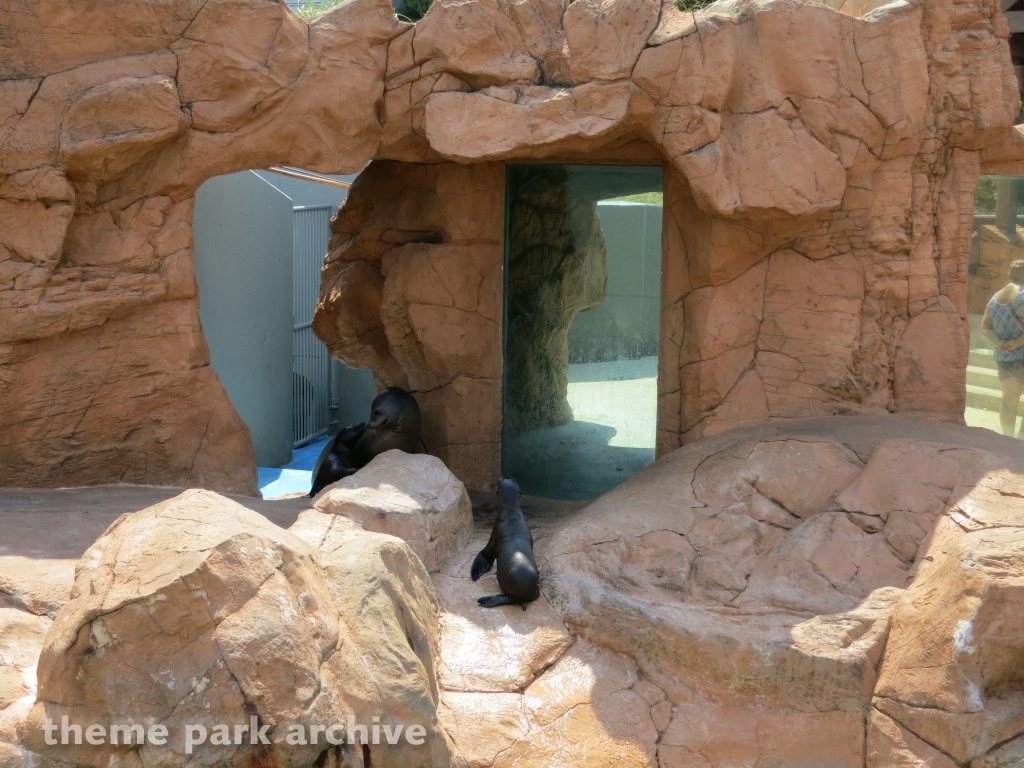 Rocky Point Preserve at SeaWorld San Antonio