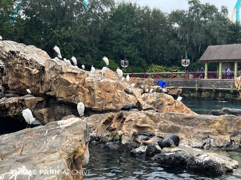 Pacific Point Preserve at SeaWorld Orlando