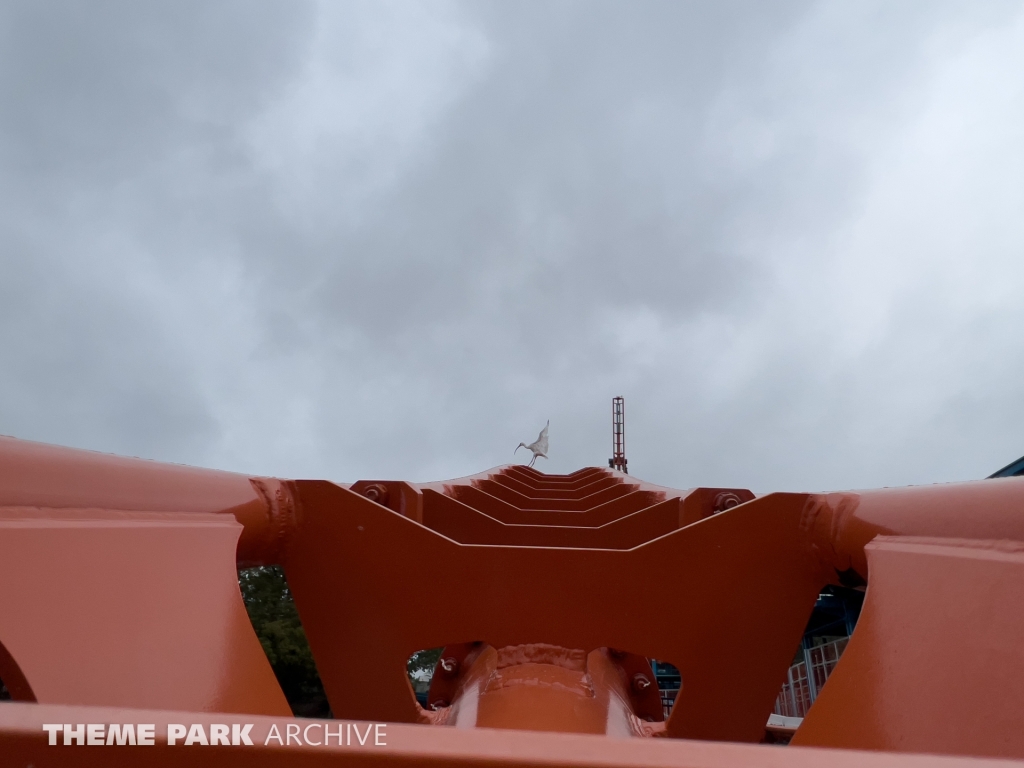 Ice Breaker at SeaWorld Orlando