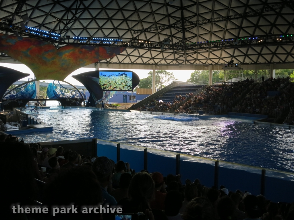 Shamu Theater at SeaWorld San Antonio