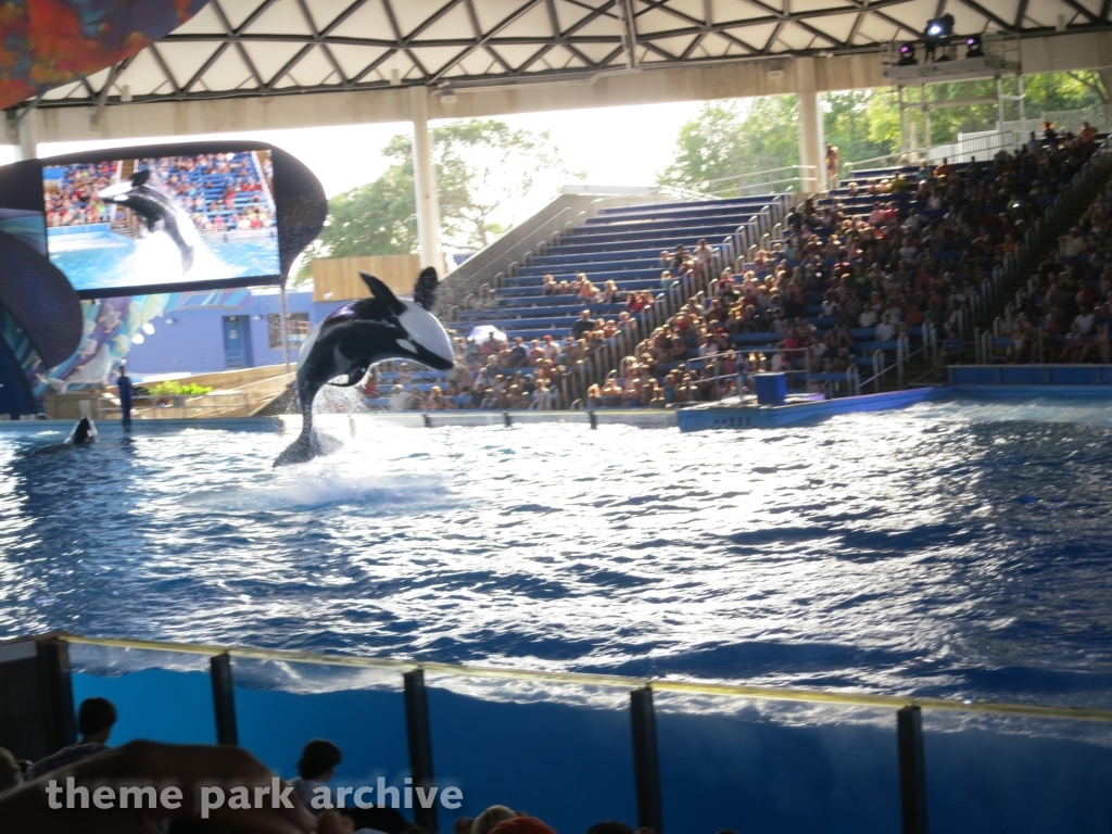 Shamu Theater at SeaWorld San Antonio