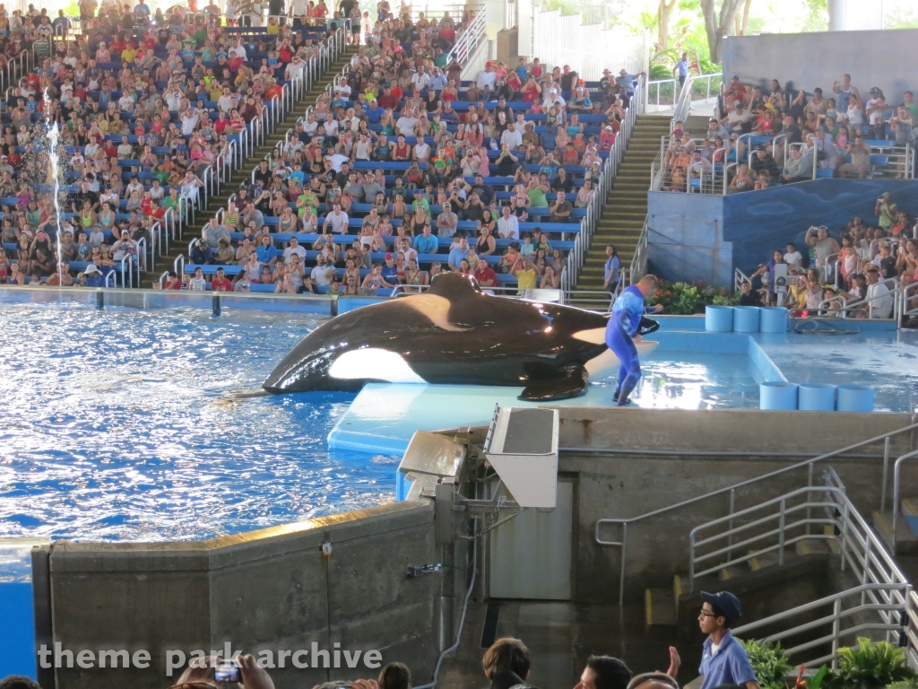 Shamu Theater at SeaWorld San Antonio