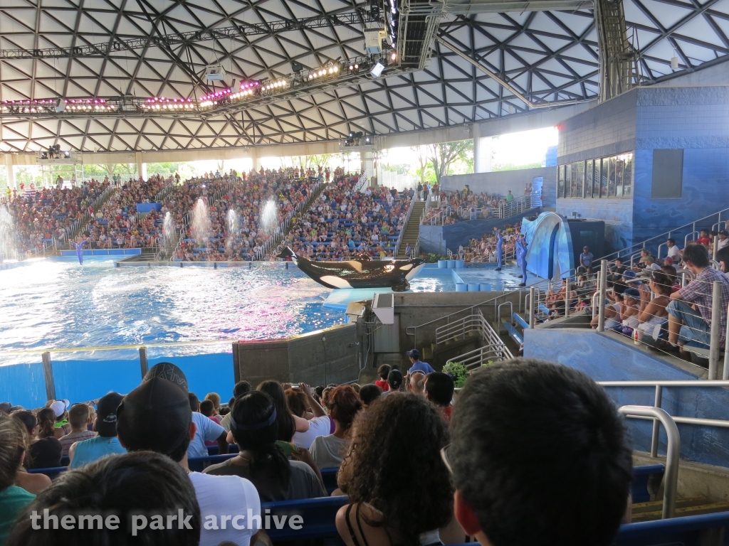 Shamu Theater at SeaWorld San Antonio