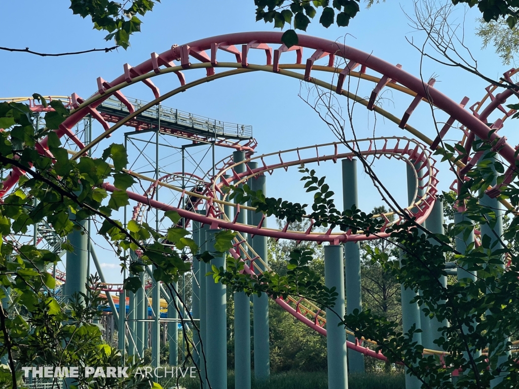 Anaconda at Kings Dominion