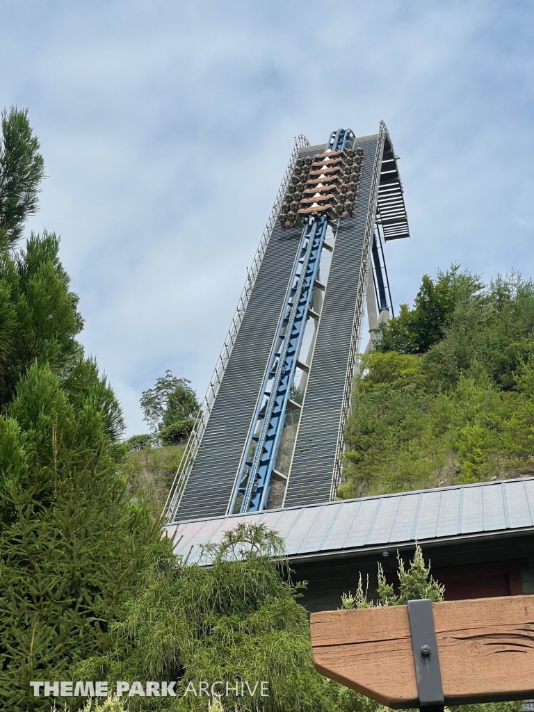 Wild Eagle at Dollywood