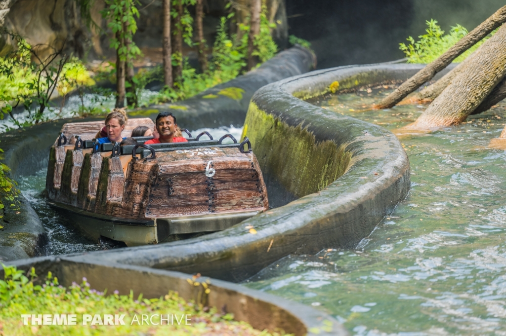 Daredevil Falls at Dollywood