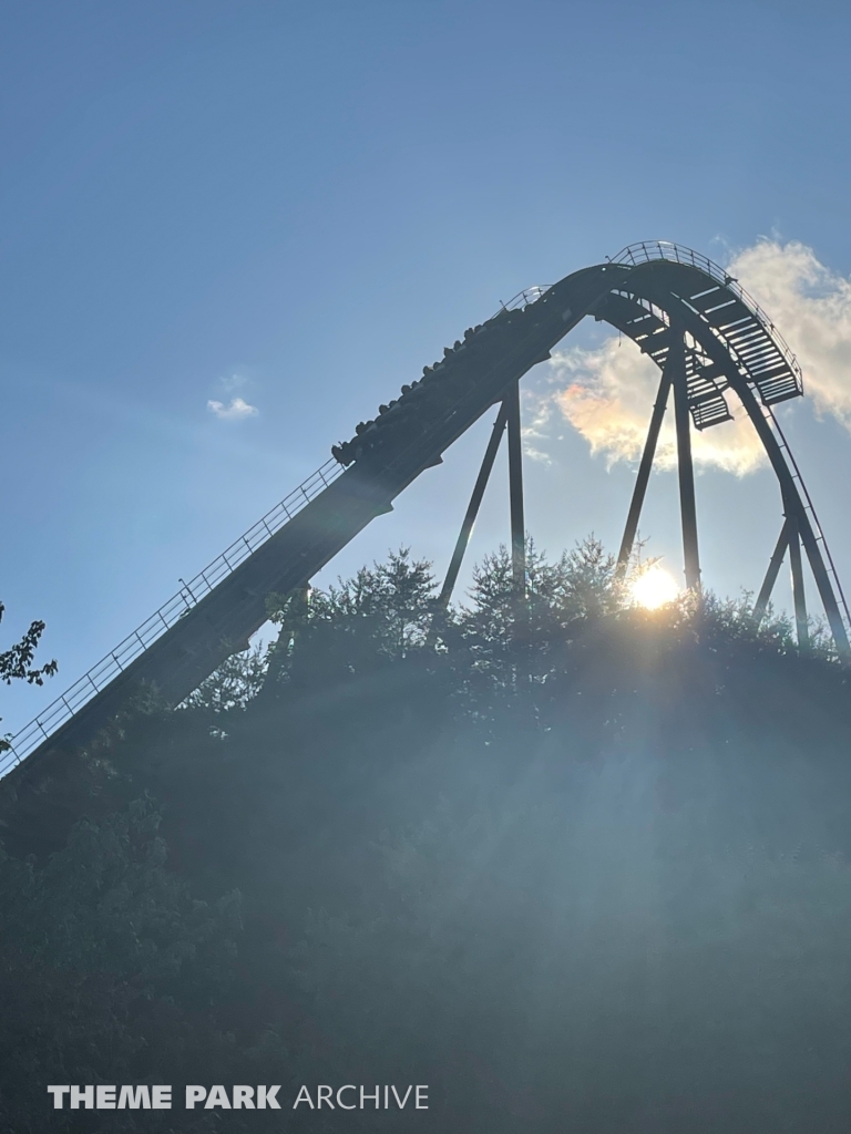 Wild Eagle at Dollywood