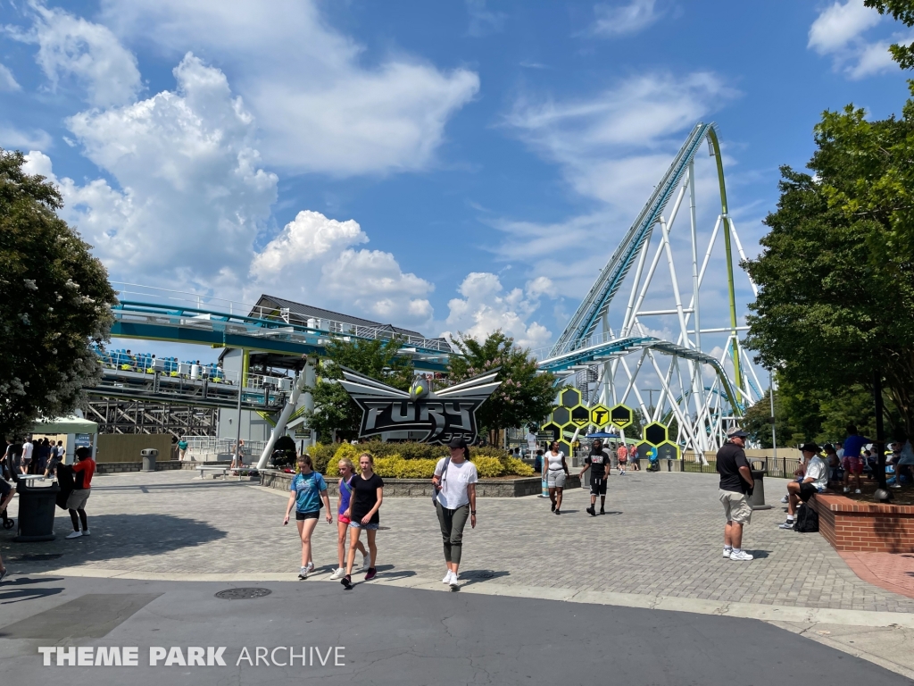 Fury 325 at Carowinds