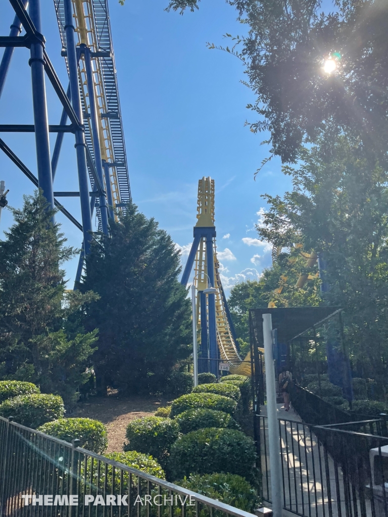 Nighthawk at Carowinds