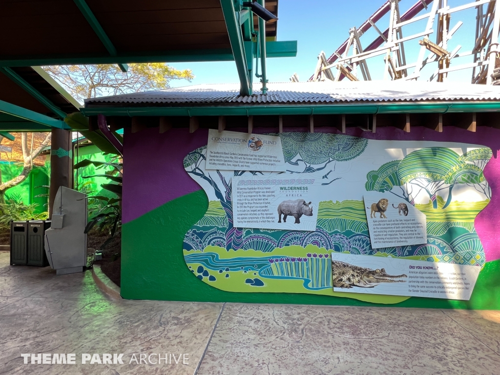 Iron Gwazi at Busch Gardens Tampa