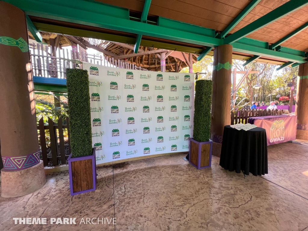 Iron Gwazi at Busch Gardens Tampa