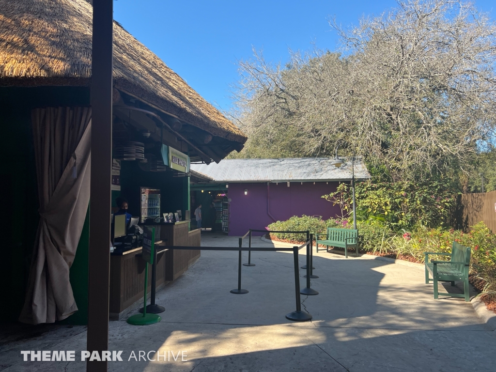 Iron Gwazi at Busch Gardens Tampa