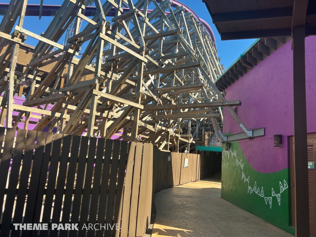 Iron Gwazi at Busch Gardens Tampa