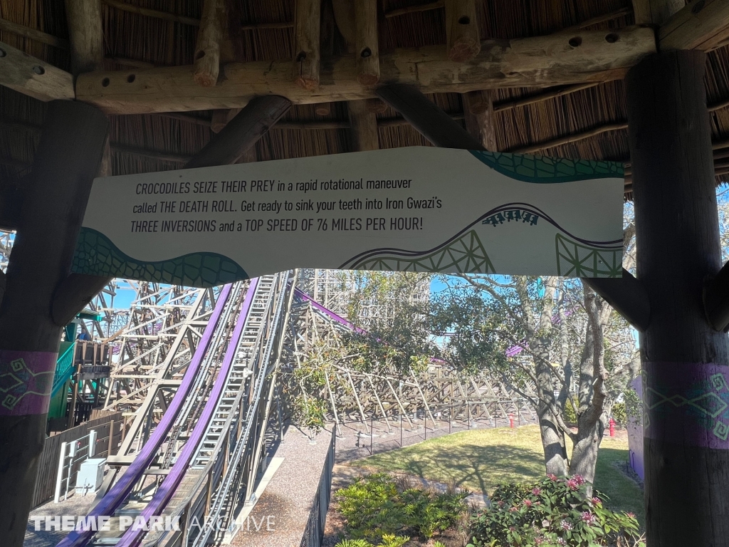 Iron Gwazi at Busch Gardens Tampa