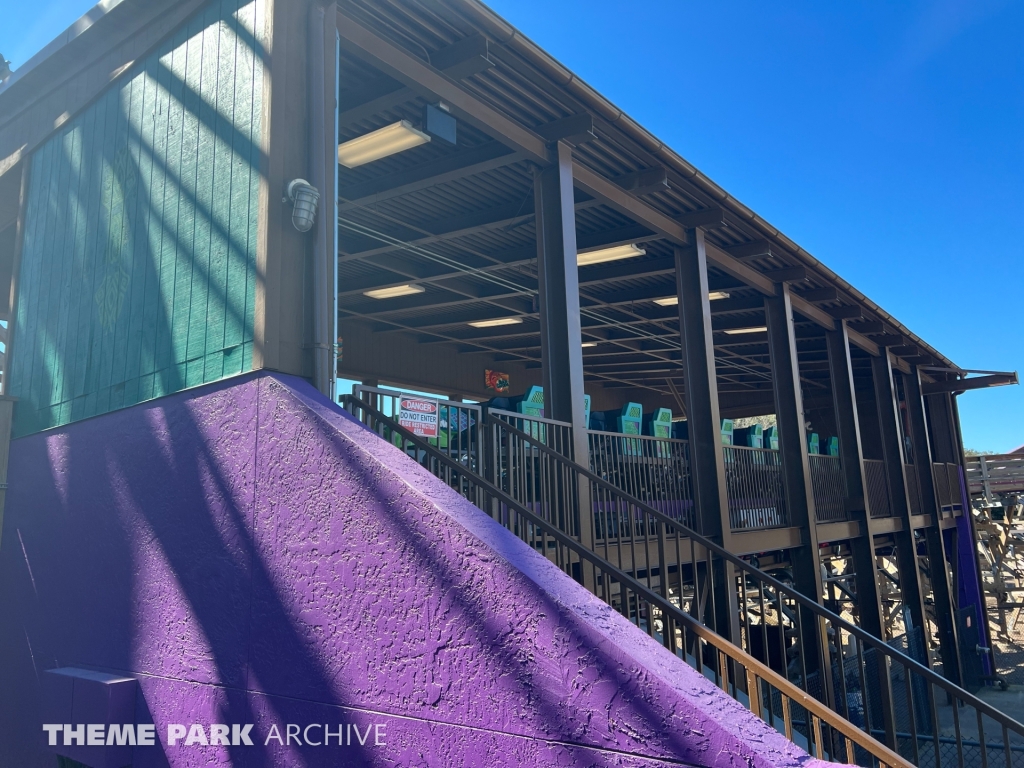 Iron Gwazi at Busch Gardens Tampa