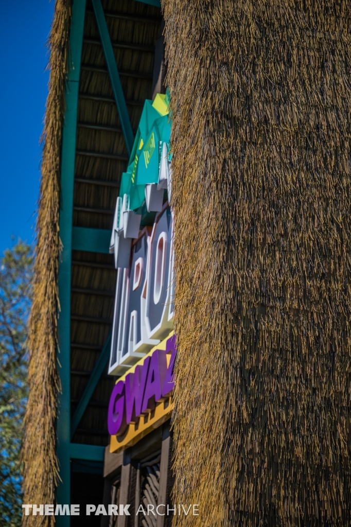 Iron Gwazi at Busch Gardens Tampa