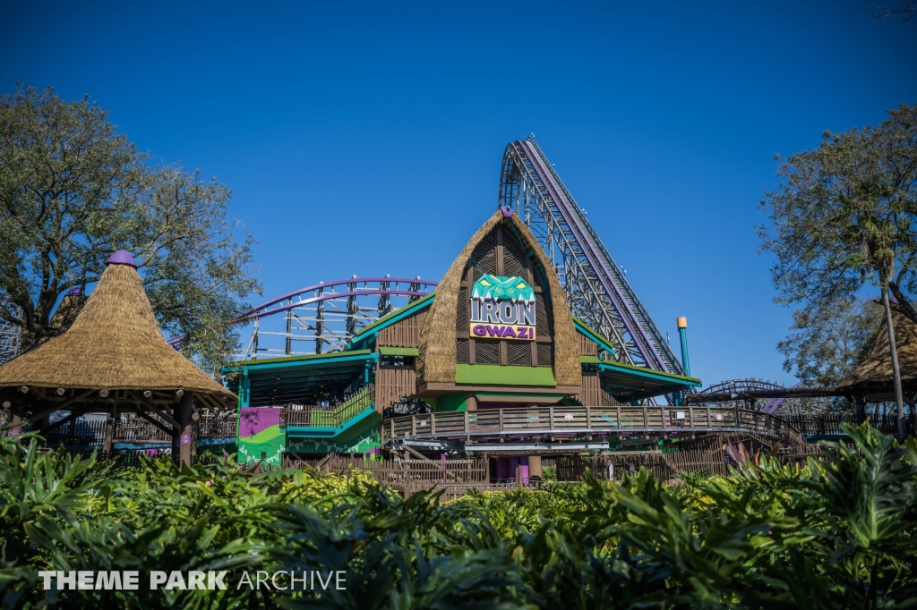 Iron Gwazi at Busch Gardens Tampa