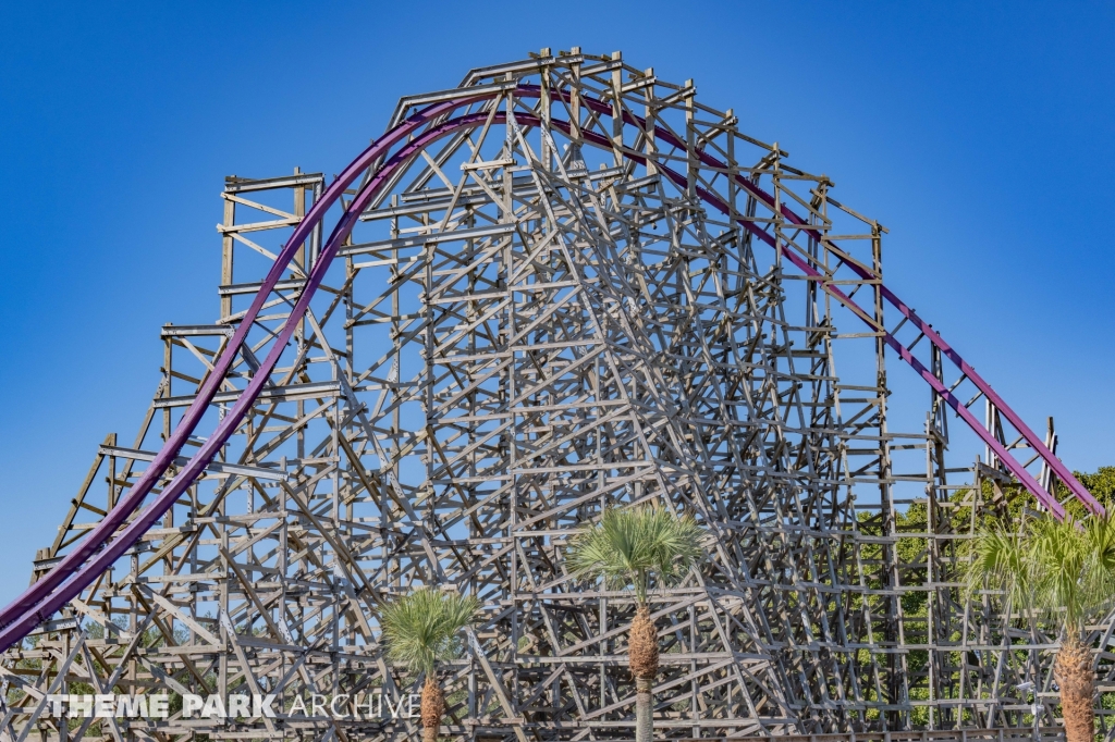 Iron Gwazi at Busch Gardens Tampa