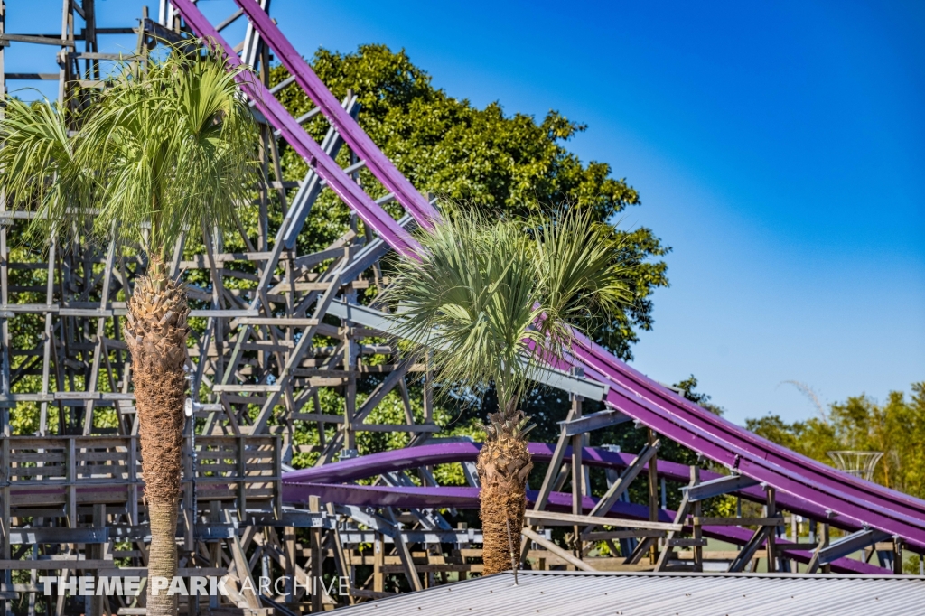 Iron Gwazi at Busch Gardens Tampa